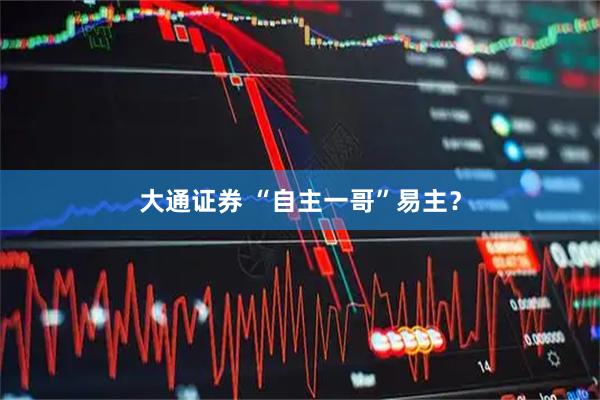 大通证券 “自主一哥”易主？