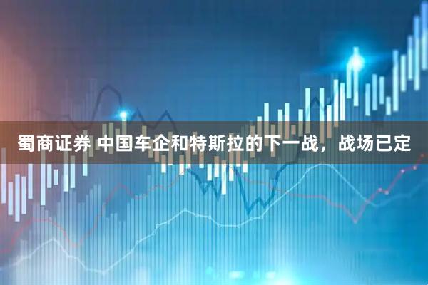蜀商证券 中国车企和特斯拉的下一战，战场已定