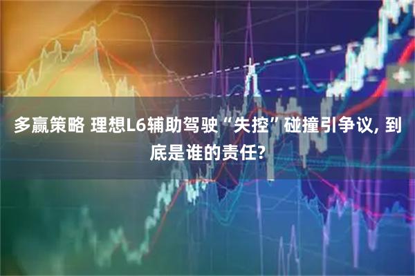 多赢策略 理想L6辅助驾驶“失控”碰撞引争议, 到底是谁的责任?