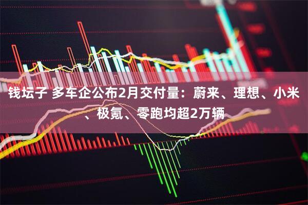 钱坛子 多车企公布2月交付量:蔚来、理想、小米、极氪、零跑均超2万辆